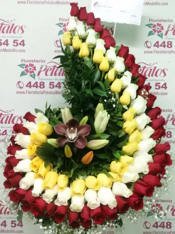 Pétalos 008